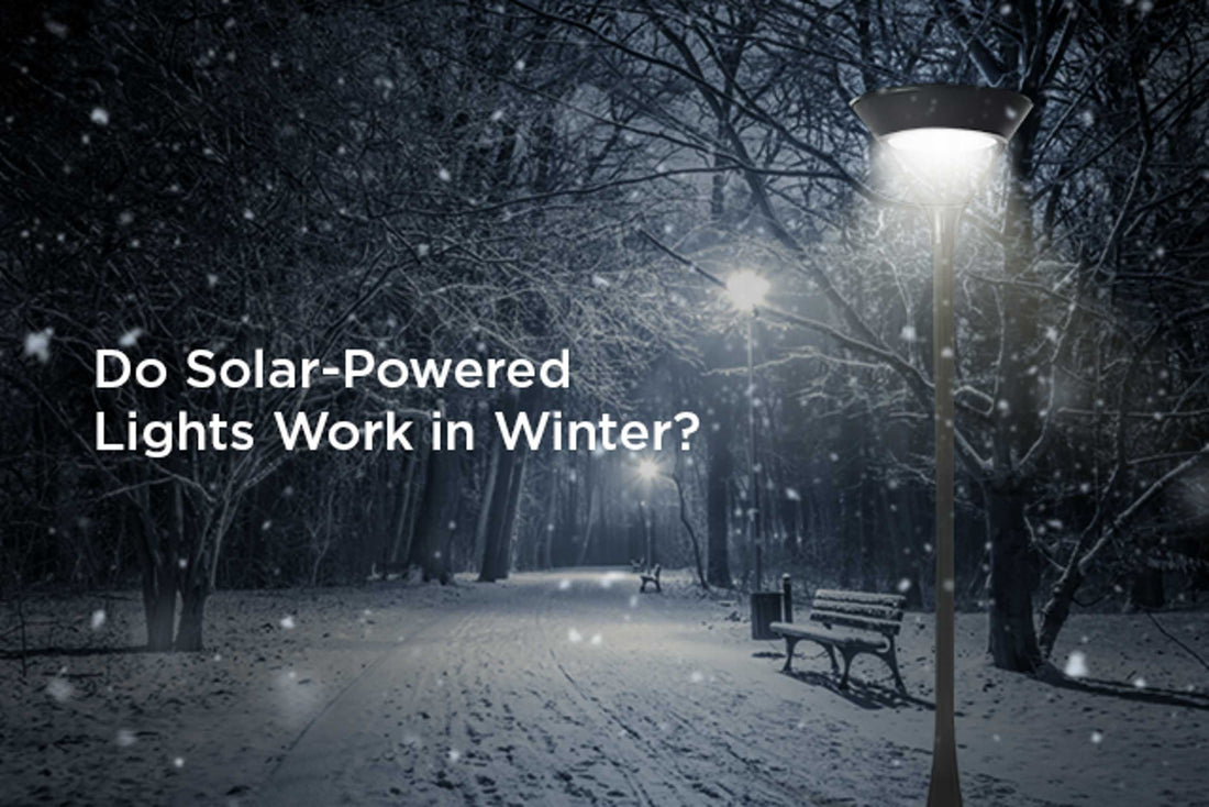 Do Solar Powered Lights Work in Winter? | Facts You Must Know