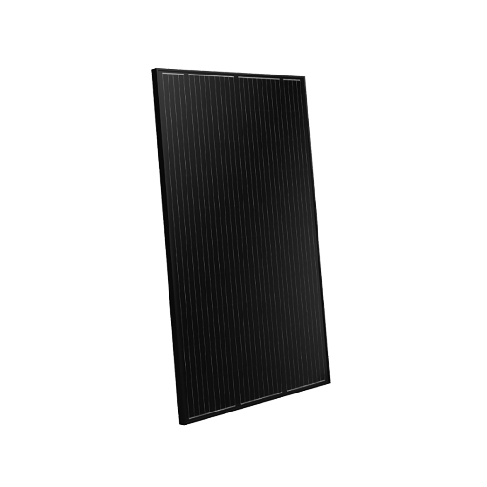 SM325M (FB) 60-Cell LINE M6 Module 325W