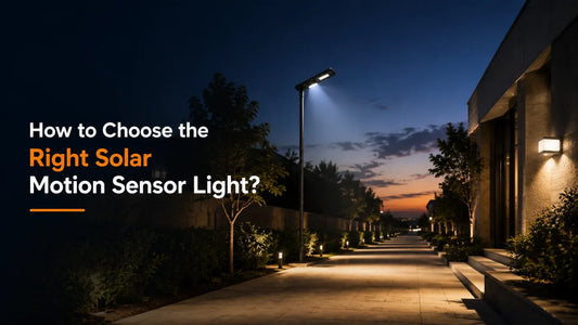 How to Choose the Right Solar Motion Sensor Light?