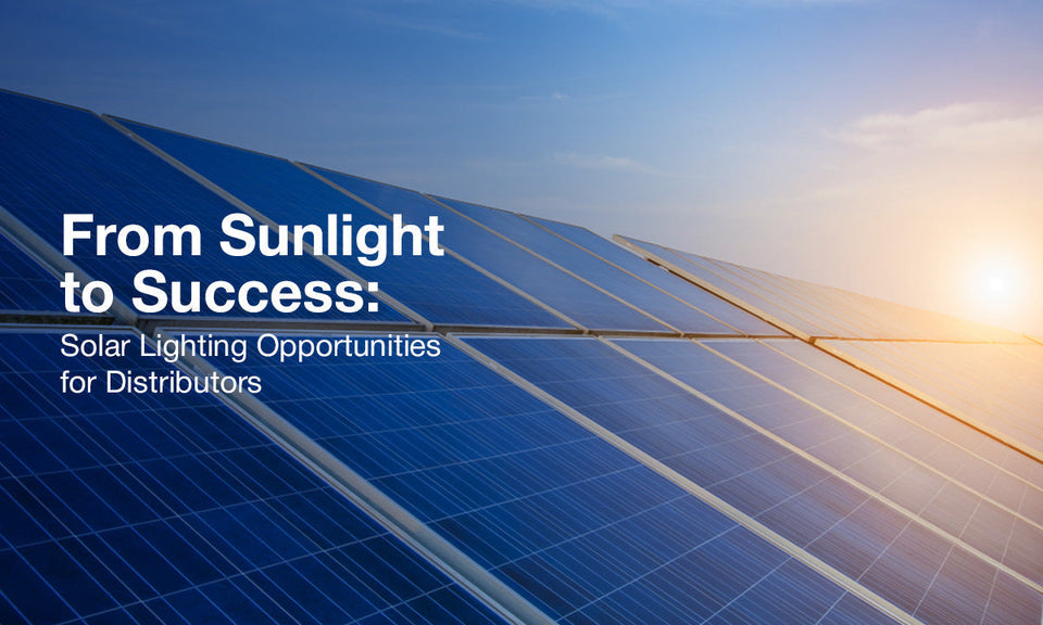 Why Solar Lighting is a Growing Opportunity for Distributors?