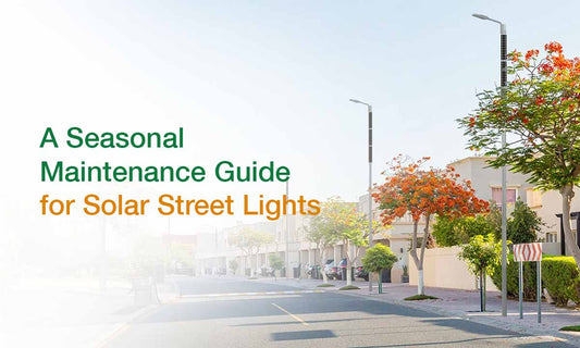 Solar Street Lights