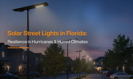 hurricane-resistant solar street lights illuminating coastal Florida road at night