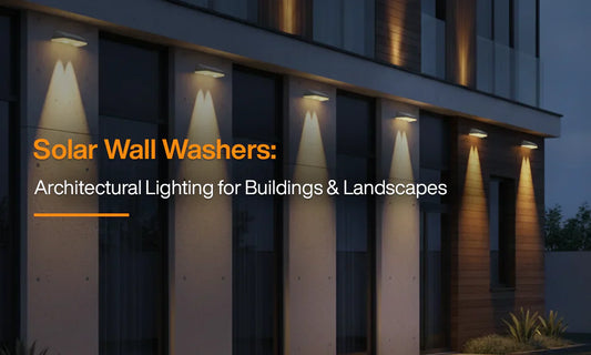 architectural building façade illuminated by solar LED wall washer lights at night