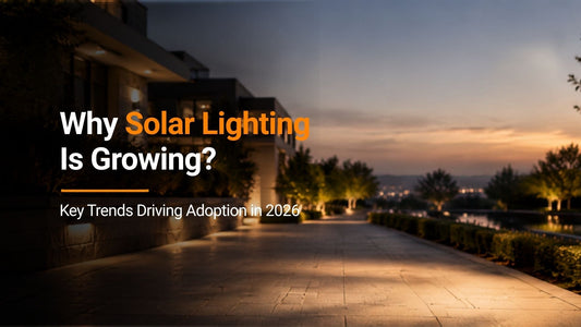 Why Solar Lighting Is Growing: Key Trends Driving Adoption in 2026