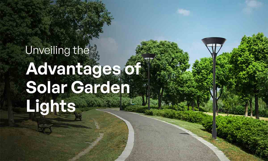 solar lights at garden