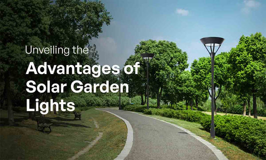 solar lights at garden