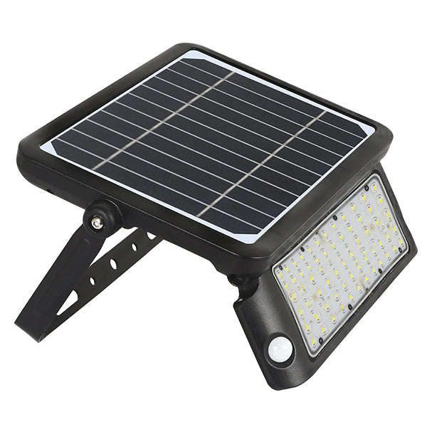 RENEW | Solar Flood and Wall Pack Lights