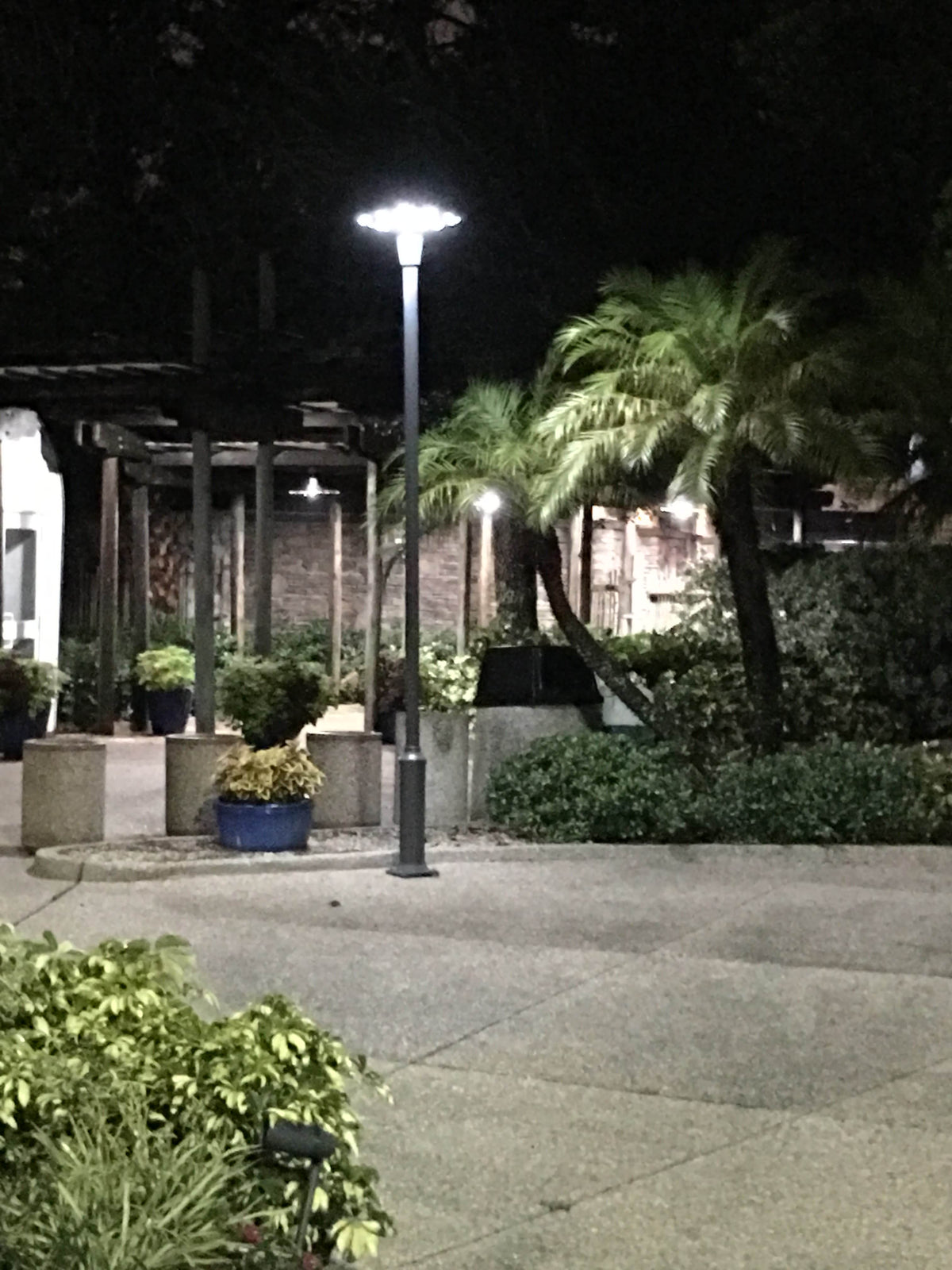 Tampa Florida